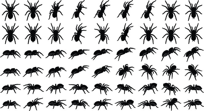 Black spider silhouette animation sprite sheet walking sequence collection for game design and Halloween projects