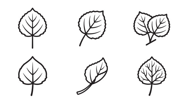 Set of aspen and poplar tree leaves vector illustration icons with botanical collection monochrome isolated illustration woodland environment seasonal deciduous silhouette minimalist