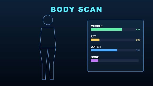 Body scan health analysis infographic: muscle, fat, water, and bone composition metrics animation 4k