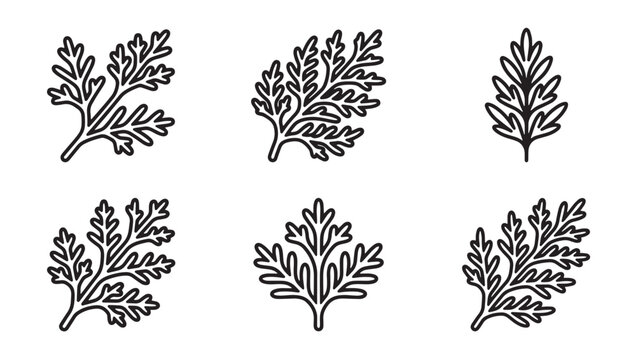 Collection of hand drawn delicate wormwood leaves vector illustration with nature inspired wormwood botanical monochrome illustration tarragon artemisia collection isolated environment