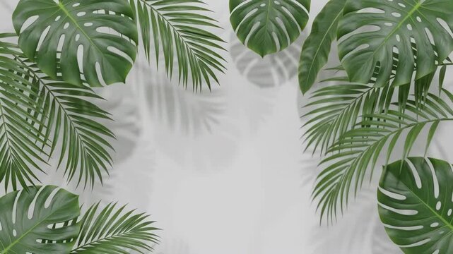 Tropical Leaves Border: A collection of lush, vibrant tropical leaves, including monstera and palm fronds, forms an elegant border against a subtly shadowed neutral background.