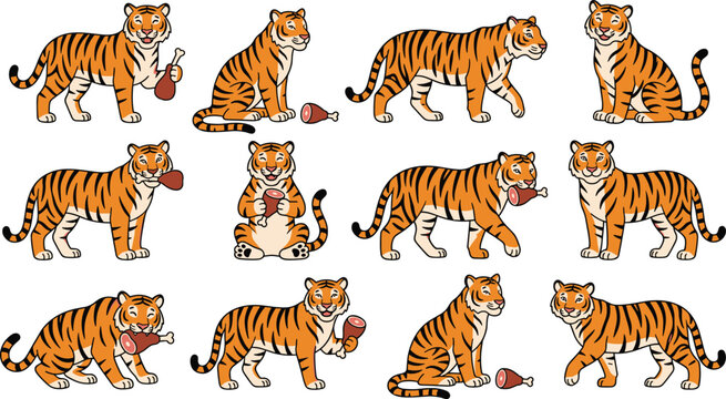 Cartoon Tiger Character Set Featuring Wild Big Cat Predator Standing Walking Sitting and Eating Raw Meat Leg for Educational Wildlife Safari Graphic DesignsCartoon Tiger Character Set Featuring Wild B