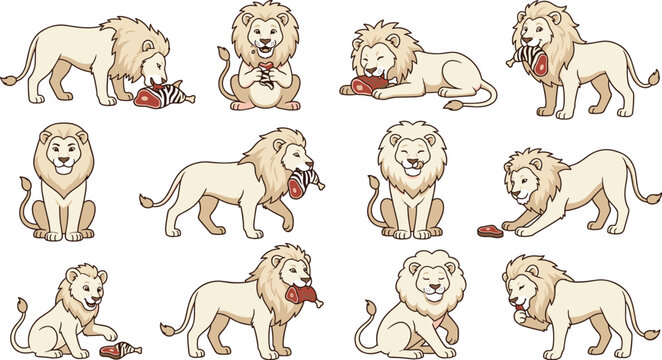 Cute lion cartoon character vector illustration set eating raw meat steak ham bone in different poses.Cute lion cartoon character vector illustration set eating raw meat steak ham bone in different po