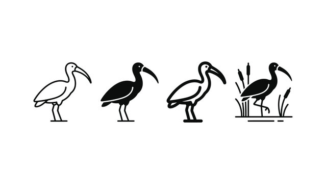 Five different colored ibis bird icon in various styles and colors on a white background