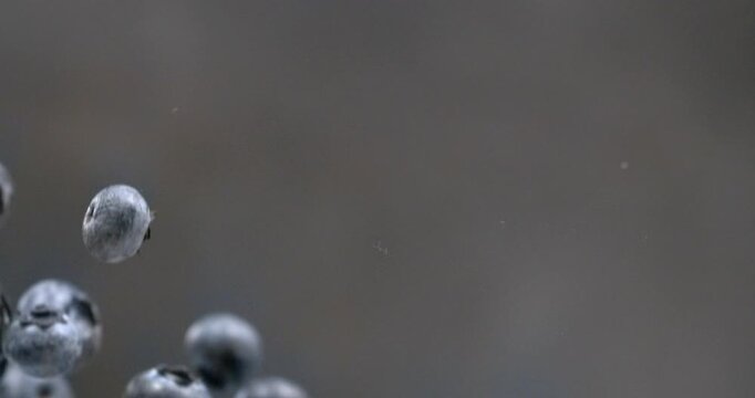 Blueberries falling in super slow motion on black background