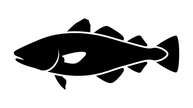 Atlantic cod fish silhouette on white background.