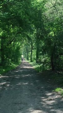 Woman jogging alone on a sunny forest path