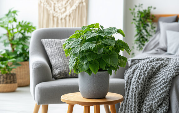 Potted green plant enhances cozy bedroom decor with natural light and minimalist furniture