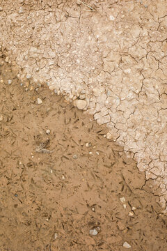 Dried Mud and Cracked Earth Texture