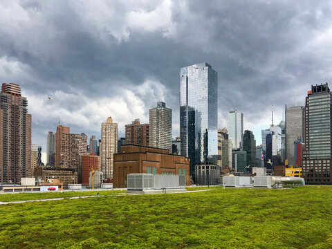 Green Roof Garden with New York Skyline