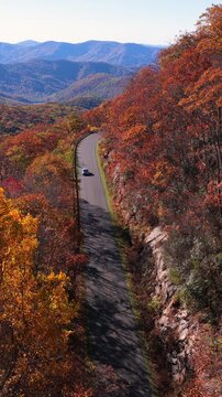 Car cruising on scenic road in mountains. Trees glowing in vibrant autumn foliage.