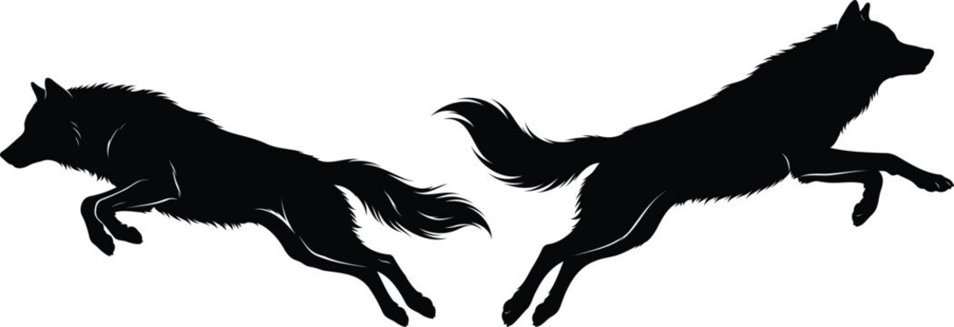 Two black wolf silhouettes jumping and running