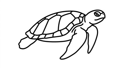 Hand drawn black and white sea turtle illustration. © Aisah