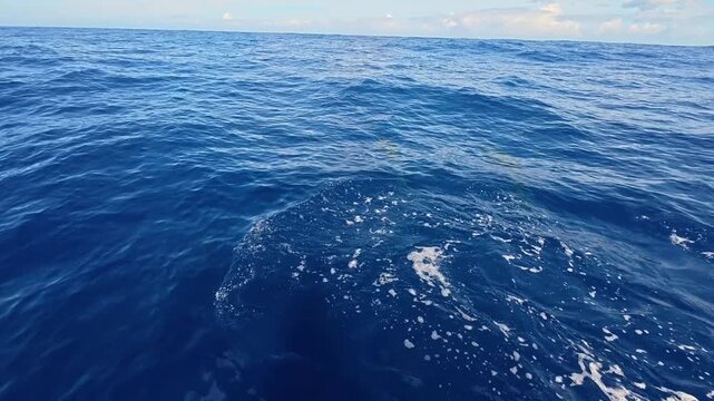 Deep blue ocean water surface with gentle waves and horizon line under a clear sky