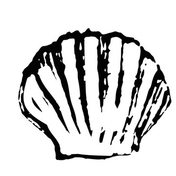 Concha de mar