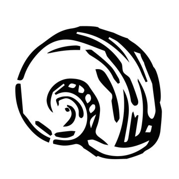 Caracola