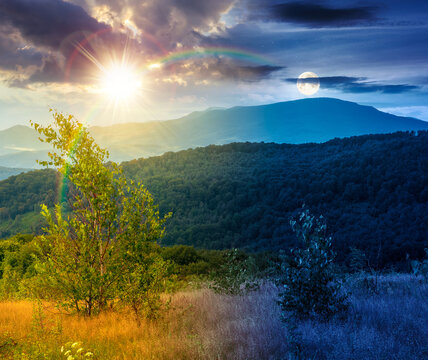 tree on a field in mountain landscape. day meet night. sun and moon over green countryside of ukraine in summer. cloudy weather. carpathian landscape in dappled light. amazing carpathian highland