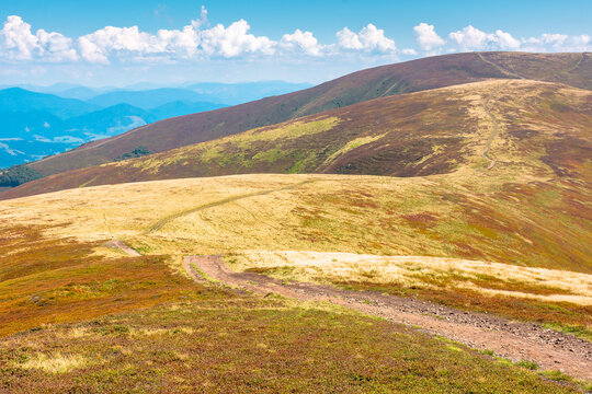 carpathian mountain landscape in late summer. scenic alps of ukraine in the afternoon. background image for hiking through borzhava ridge