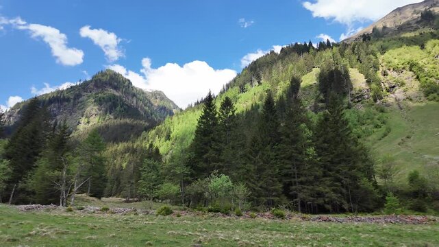Amazing summer day in wild mountain with coniferous forest. Mountain landscape valley. Mountainous landscape with cloudy sky. Scenic green hill. Alpine scenery