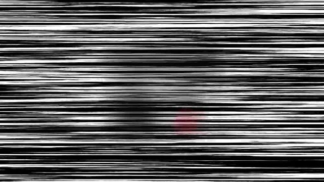 Digital noise and static interference overlay on screen.