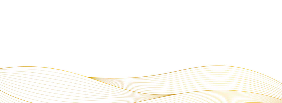 luxury golden line art design with transparent background elegant fluid wavy gold lines background