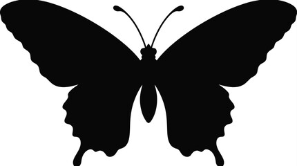 Black butterfly silhouette on a white background detailed wing shape © TanjilaAkter