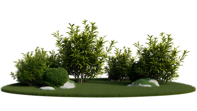 Lush green garden bushes and decorative rocks on grass with landscaping vegetation isolated decoration environmental shrubbery botanical evergreen landscaped