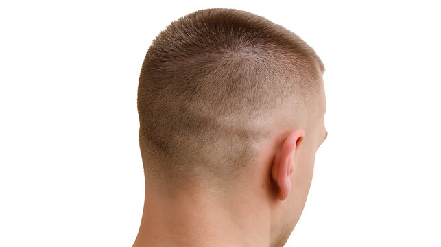 Rear View of a Man's Head with a Short Buzz Cut Hairstyle, Light Brown Hair, and Visible Scar on Isolated White Background