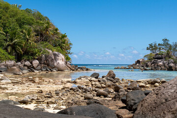 Obraz premium Secluded island shoreline with granite boulders, palm trees, and clear blue water under sunny sky.