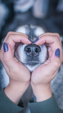 corazon de nariz