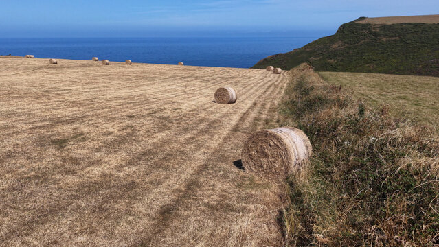 Gold straw bales by the sea