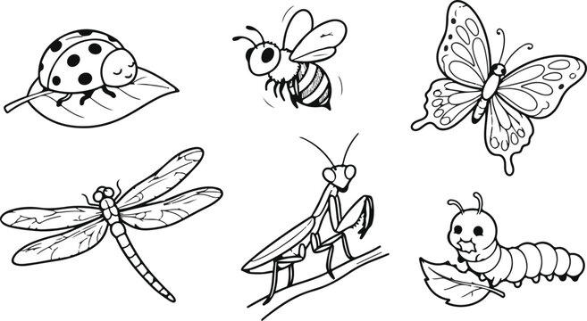 Insects set outline illustration for coloring book page with cute ladybug, butterfly, bee, and dragonfly