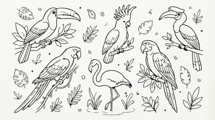 Tropical birds coloring page set with toucan parrot cockatoo flamingo and hornbill © Hello World