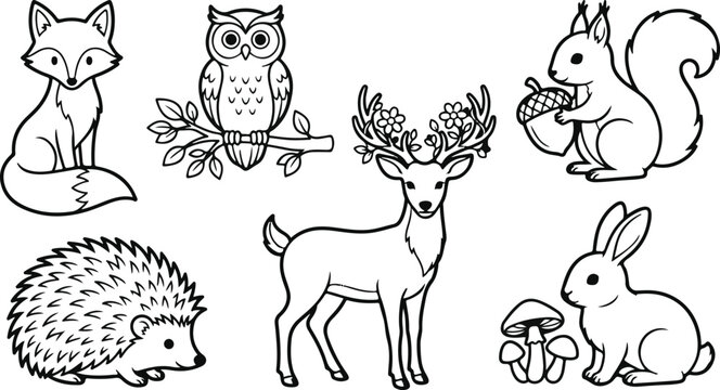 Woodland animals coloring page set featuring cute fox deer owl hedgehog rabbit squirrel