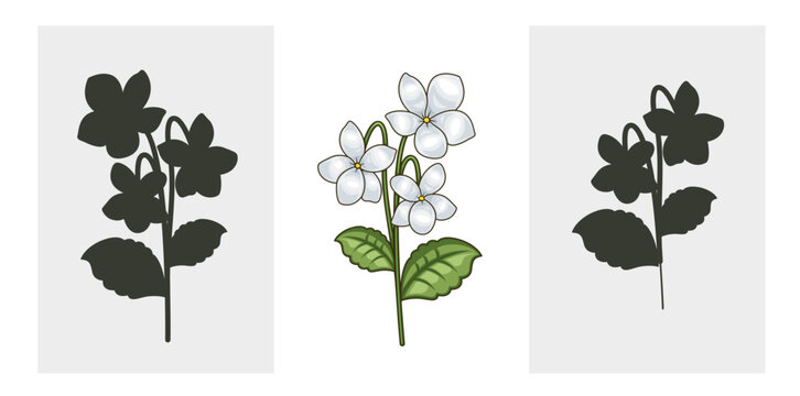 Violet Illustration. February Birth Month Flower. Hand Drawn Violets flower vector illustration. Botanical art