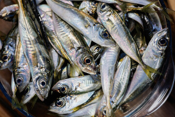 Obraz premium Closeup of fresh horse mackerel fish with silver scales and glossy texture in metal bowl, raw seafood catch for market, cooking, nutrition and fishing concepts