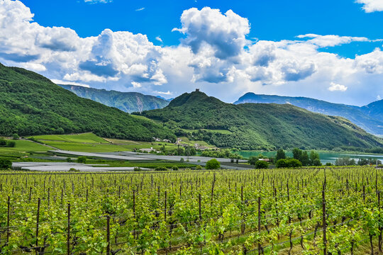 Kaltern, Caldaro, Tramin, Weinstrasse, Kalterer See, See, Lago di Caldaro, Weinberge, Weinbauer, Wanderweg, Spazierweg, S&uuml;dtirol, Etschtal, Etsch, &Uuml;beretsch, Fr&uuml;hling, Sommer, Italien