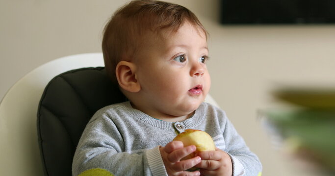 Cute baby infant eating piece of apple fruit