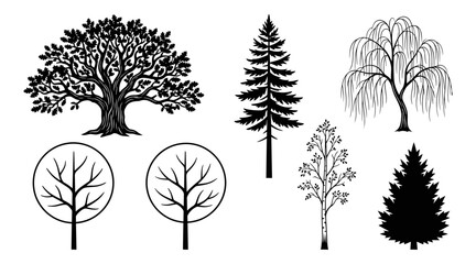 Trees in Various Styles and Designs with Different Shapes and Textures Featuring Tree, Nature, Forest with Illustration © MdRiaj