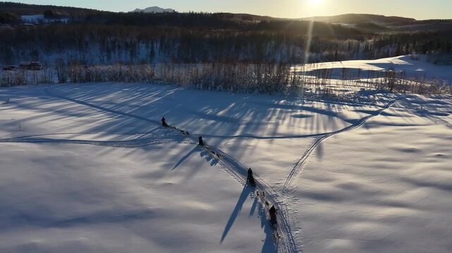 Dog sledding teams racing across snowy arctic landscape at sunset, Norway