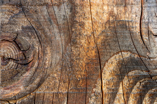 Weathered wood grain texture with natural cracks and rustic timber background.
