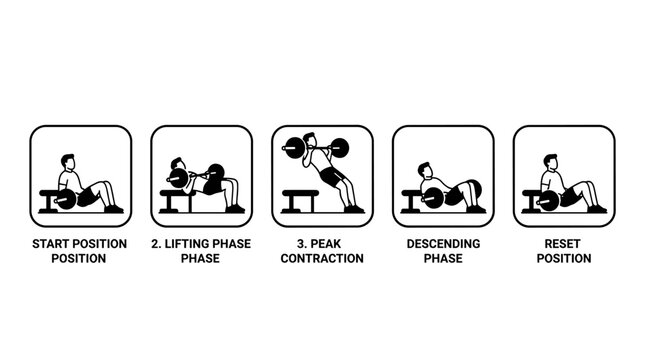 Barbell Hip Thrust Exercise Tutorial Steps