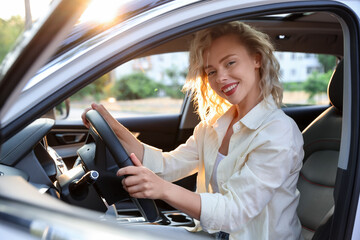Naklejka premium Woman driving modern car, view from outside