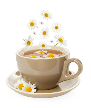 Herbal tea. Chamomile flowers falling into cup with hot beverage on white background