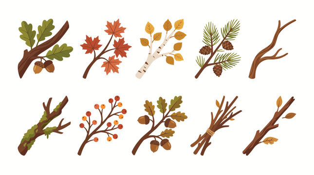 Set of cute autumn branches and twigs with leaves, acorns, pinecones, and berries in flat vector style