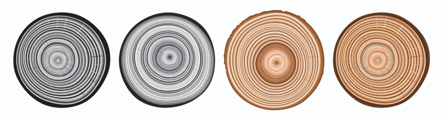Tree trunk cut texture, wood slice annual rings vector pattern © ange1011