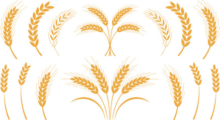 Golden wheat stalks flat vector illustration elements. Curved ears, single stems, and branched sheaves form a decorative harvest emblem selection for organic bakery packaging logos. © HELEN QUEEN