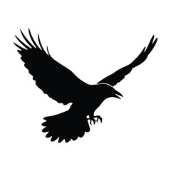 Fototapeta premium Flying crow silhouette isolated on white background for graphic use