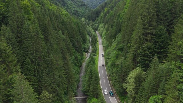 Busy Transfagarasan Highway Through Romanian Forest