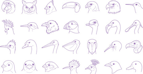 Various Bird Head Species Line Art Vector Illustration Set © IconicCreations